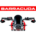 Barracuda