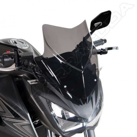 Sports Screen Aerosport Kawasaki Z300