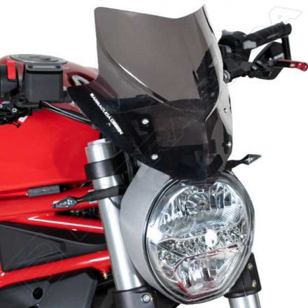 Sports Screen Aerosport Ducati Monster DN8300