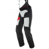 Dainese D-EXPLORER 2 GORE-TEX PANTS, Zwart-Grijs-Rood (Afbeelding 1 van 3)