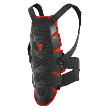 Dainese PRO-SPEED BACK L, Zwart (2 van 3)